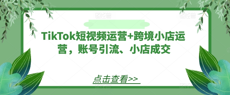 TikTok短视频运营+跨境小店运营，账号引流、小店成交-菜菜网创