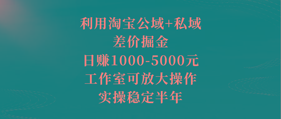 利用淘宝公域+私域差价掘金，日赚1000-5000元，工作室可放大操作，实操…-菜菜网创