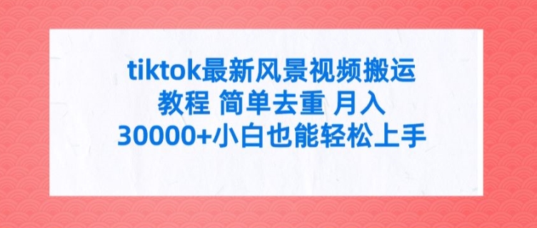 tiktok最新风景视频搬运教程 简单去重 月入3W+小白也能轻松上手【揭秘】-菜菜网创