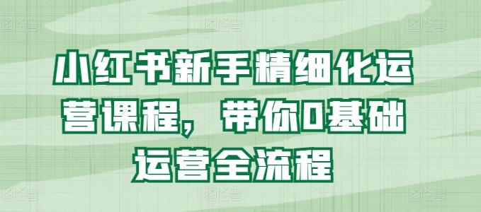 小红书新手精细化运营课程，带你0基础运营全流程-菜菜网创