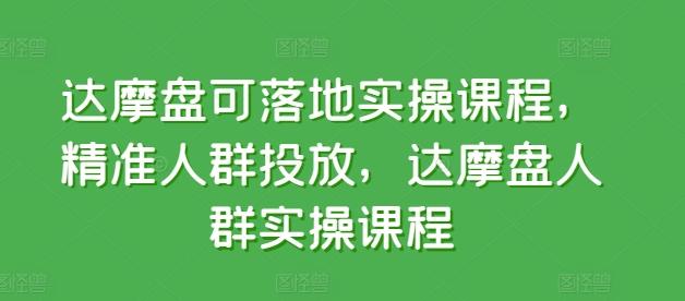 达摩盘可落地实操课程，精准人群投放，达摩盘人群实操课程-菜菜网创