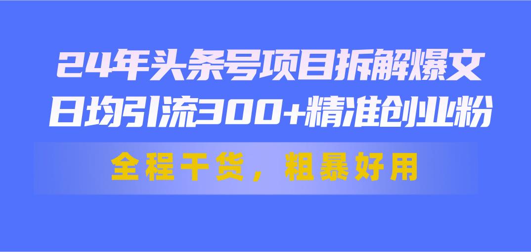 24年头条号项目拆解爆文，日均引流300+精准创业粉，全程干货，粗暴好用-菜菜网创