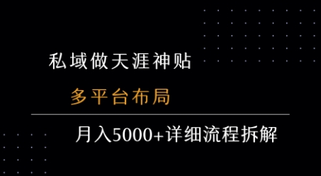 私域做天涯神贴 多平台布局 月入5k+详细流程拆解-菜菜网创
