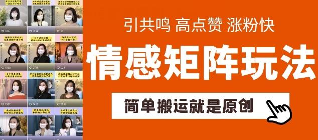 简单搬运，情感矩阵玩法，涨粉速度快，可带货，可起号【揭秘】-菜菜网创