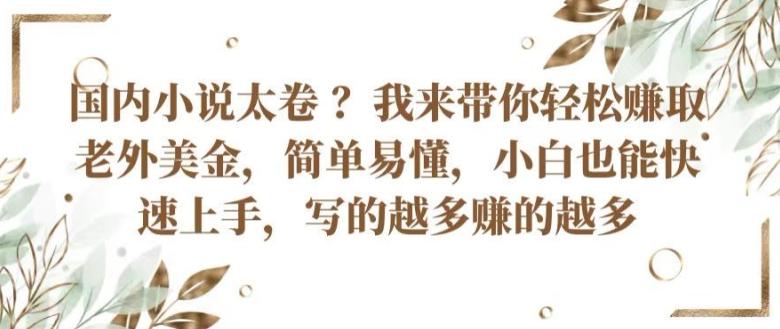 国内小说太卷 ?带你轻松赚取老外美金，简单易懂，小白也能快速上手，写的越多赚的越多【揭秘】-菜菜网创