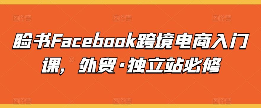 脸书Facebook跨境电商入门课，外贸·独立站必修-菜菜网创
