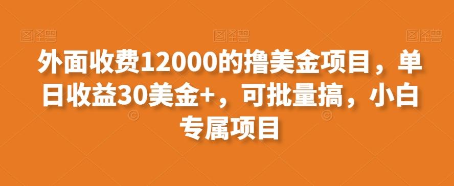 外面收费12000的撸美金项目，单日收益30美金+，可批量搞，小白专属项目-菜菜网创