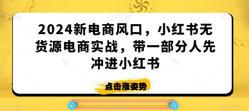 2024新电商风口，小红书无货源电商实战，带一部分人先冲进小红书-菜菜网创