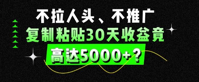不拉人头、不推广，复制粘贴30天收益竟高达5000+？-菜菜网创