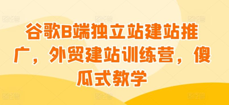 谷歌B端独立站建站推广，外贸建站训练营，傻瓜式教学-菜菜网创