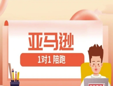 亚马逊1对1陪跑课(FBA/FBM精铺)跨境亚马逊教程-菜菜网创