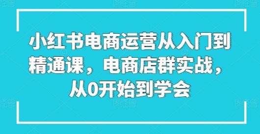 小红书电商运营从入门到精通课，电商店群实战，从0开始到学会-菜菜网创