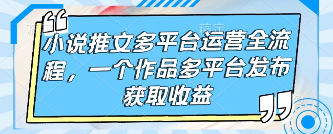 小说推文多平台运营全流程，一个作品多平台发布获取收益-菜菜网创