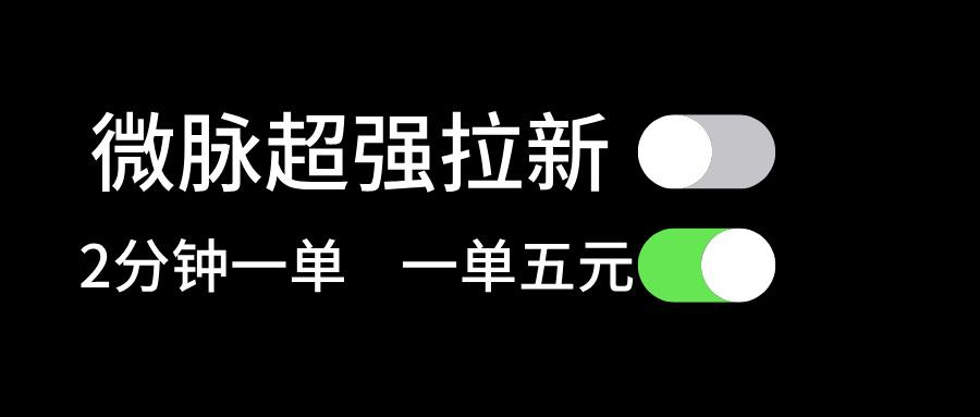 微脉超强拉新， 两分钟1单， 一单利润5块，适合小白-菜菜网创