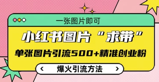 小红书图片‘求带’爆火引流法，单张图片引流500+精准创业粉【揭秘】-菜菜网创