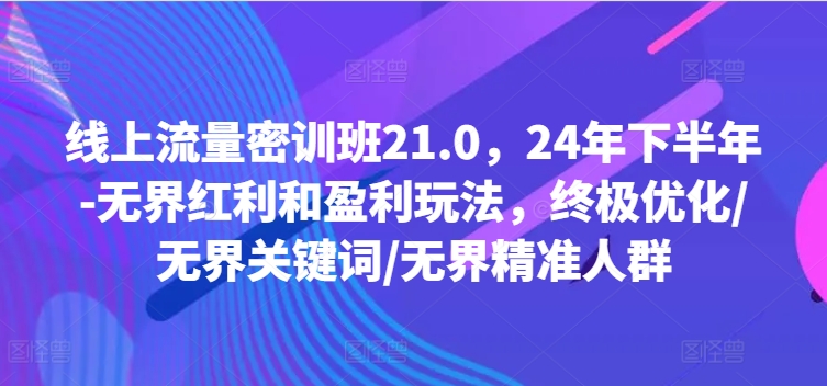 线上流量密训班21.0，24年下半年-无界红利和盈利玩法，终极优化/无界关键词/无界精准人群-菜菜网创