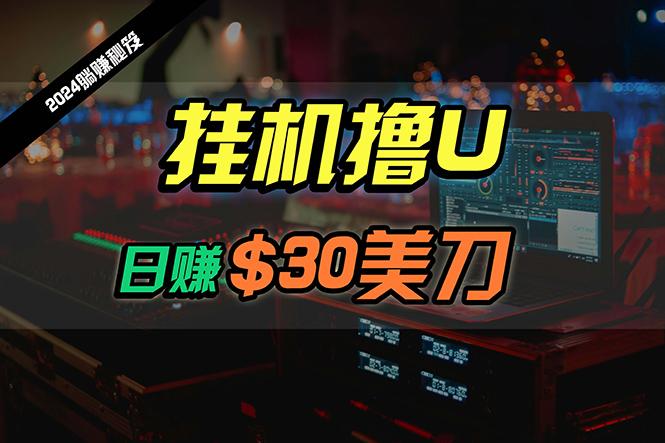 (10013期)日赚30美刀，2024最新海外挂机撸U内部项目，全程无人值守，可批量放大-菜菜网创