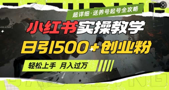 2月小红书最新日引500+创业粉实操教学【超详细】小白轻松上手，月入1W+，附小红书养号起号SOP-菜菜网创