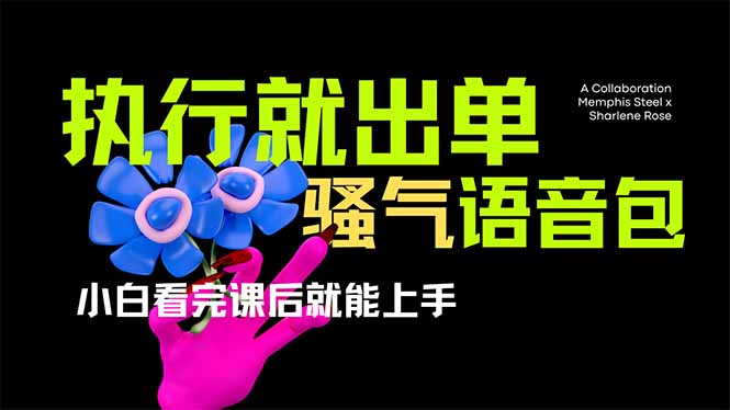 爆火全网的开车导航骚气语音包,只要执行就出单，小白看完课程就能实操…-菜菜网创