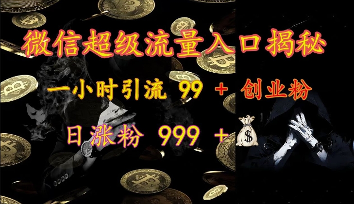 微信超级流量入口揭秘：一小时引流 99 + 创业粉，日涨粉 999 +-菜菜网创