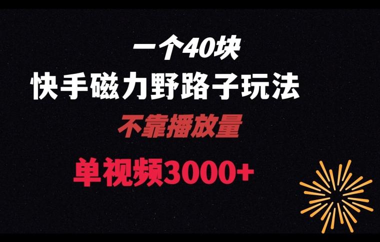 一个40块，快手联合美团磁力新玩法，无视机制野路子玩法，单视频收益4位数【揭秘】-菜菜网创
