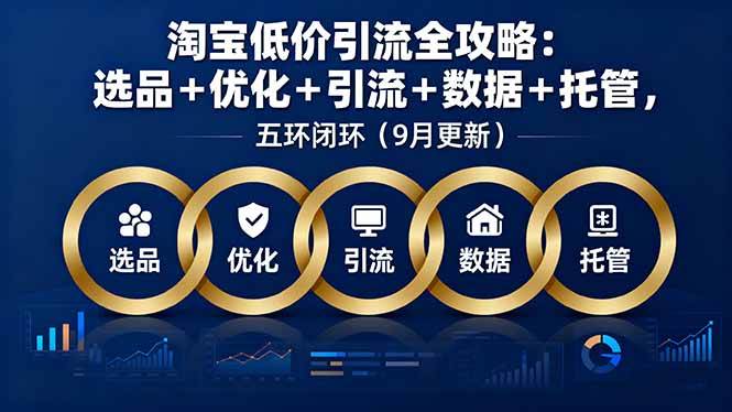 （16009期）淘宝低价引流全攻略：选品＋优化＋引流＋数据＋托管，五环闭环（9月更新）-菜菜网创