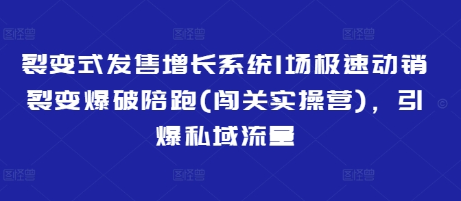 裂变式发售增长系统1场极速动销裂变爆破陪跑(闯关实操营)，引爆私域流量-菜菜网创