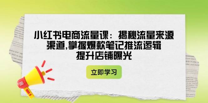 小红书电商流量课：揭秘流量来源渠道,掌握爆款笔记推流逻辑,提升店铺曝光-菜菜网创