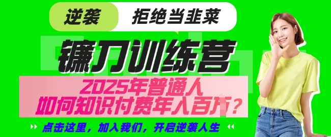 【网创项目终点站-镰刀训练营超级IP合伙人】25年普通人如何通过知识付费实现逆袭【揭秘】-菜菜网创