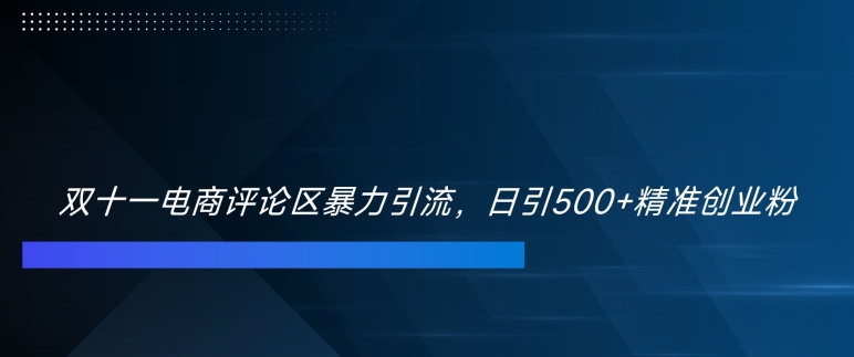 双十一电商评论区暴力引流，日引500+精准创业粉【揭秘】-菜菜网创