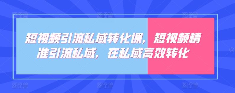 短视频引流私域转化课，短视频精准引流私域，在私域高效转化-菜菜网创