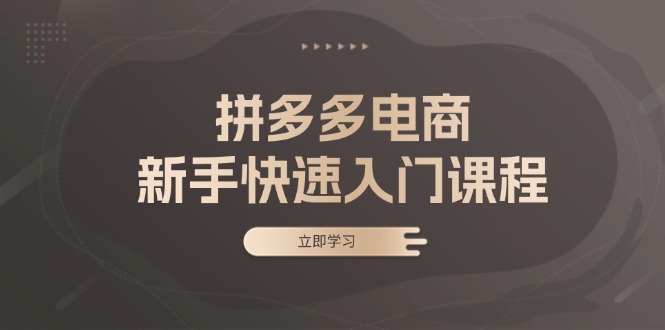 拼多多电商新手快速入门课程：涵盖基础、实战与选款，助力小白轻松上手-菜菜网创