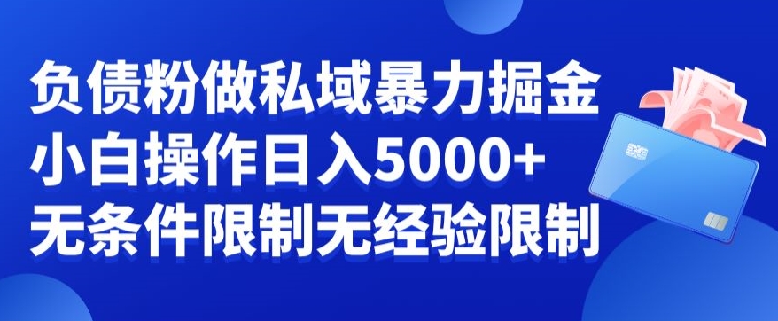 负债粉私域暴力掘金，小白操作入5000，无经验限制，无条件限制【揭秘】-菜菜网创