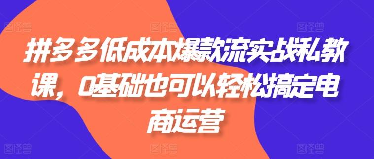 拼多多低成本爆款流实战私教课，0基础也可以轻松搞定电商运营-菜菜网创
