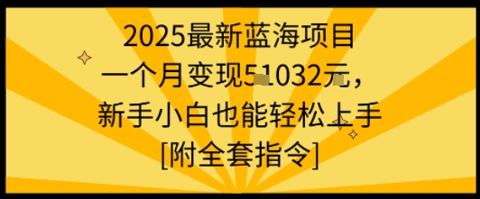 2025最新蓝海项目一个月变现1w+新手小白也能轻松上手【附全套指令】-菜菜网创