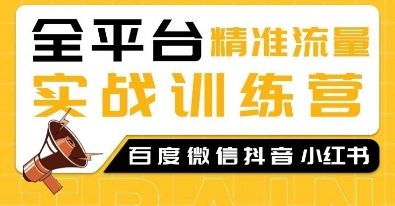 全平台精准流量实战训练营，百度微信抖音小红书SEO引流教程-菜菜网创
