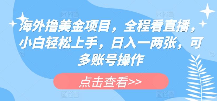 海外撸美金项目，全程看直播，小白轻松上手，日入一两张，可多账号操作【揭秘】-菜菜网创