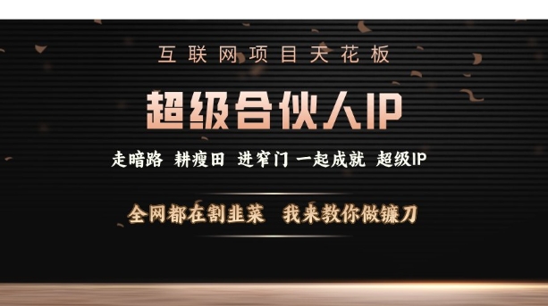 互联网项目天花板，超级合伙人IP，全网都在割韭菜，我来教你做镰刀【仅揭秘】-菜菜网创