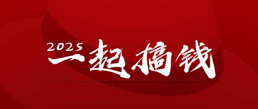 2025年，请“不择手段”去搞钱!-菜菜网创