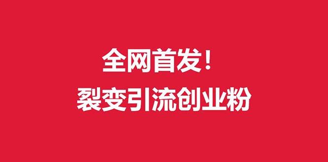 (全网首发)外面收费几千的裂变引流高质量创业粉-菜菜网创