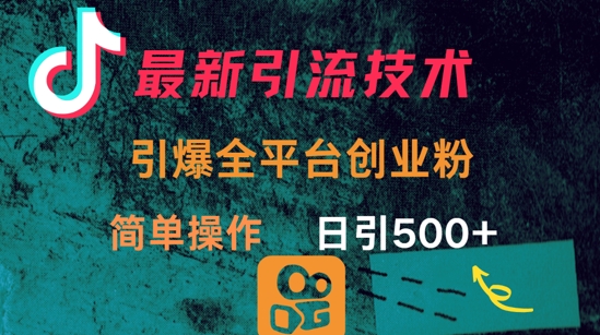 最新引流方法，引爆全平台的一个创业粉，简单操作日引300+-菜菜网创