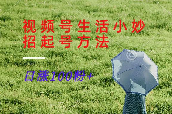 视频号生活小妙招分享赛道， 起号涨粉新方法，日涨100粉-菜菜网创