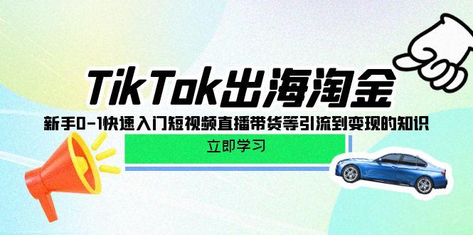 (10035期)TikTok-出海淘金，新手0-1快速入门短视频直播带货等引流到变现的知识-菜菜网创