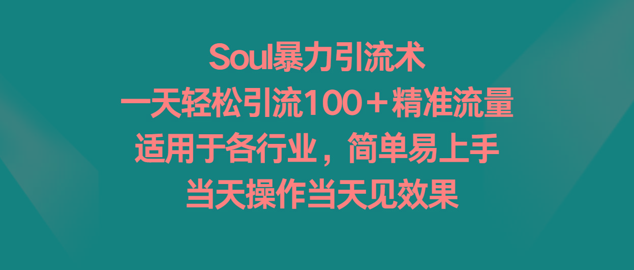 Soul暴力引流术，一天轻松引流100＋精准流量，适用于各行业，简单易上手！-菜菜网创