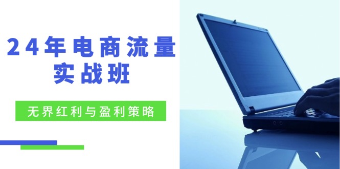 24年电商流量实战班：无界 红利与盈利策略，终极提升/关键词优化/精准…-菜菜网创