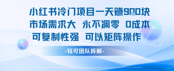 小红书冷门项目一天收益9张，市场需求大，0成本，可复制性强可以矩阵操作-菜菜网创