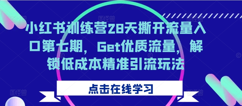 小红书训练营28天撕开流量入口第七期，Get优质流量，解锁低成本精准引流玩法-菜菜网创