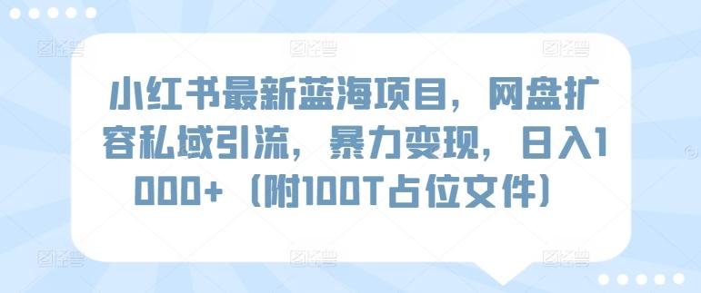 小红书最新蓝海项目，网盘扩容私域引流，暴力变现，日入1000+(附100T占位文件)【揭秘】-菜菜网创