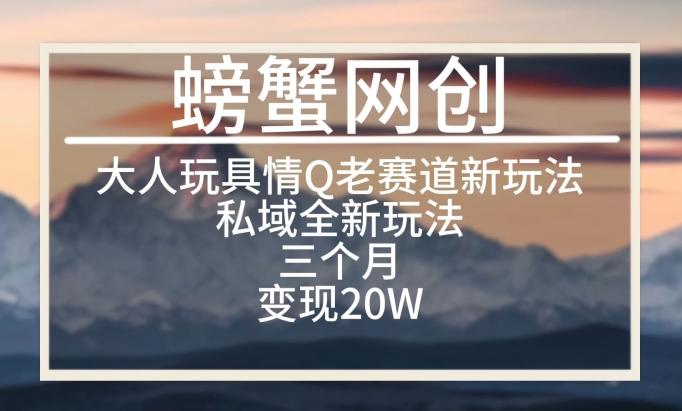 大人玩具情Q用品赛道私域全新玩法，三个月变现20W，老项目新思路【揭秘】-菜菜网创